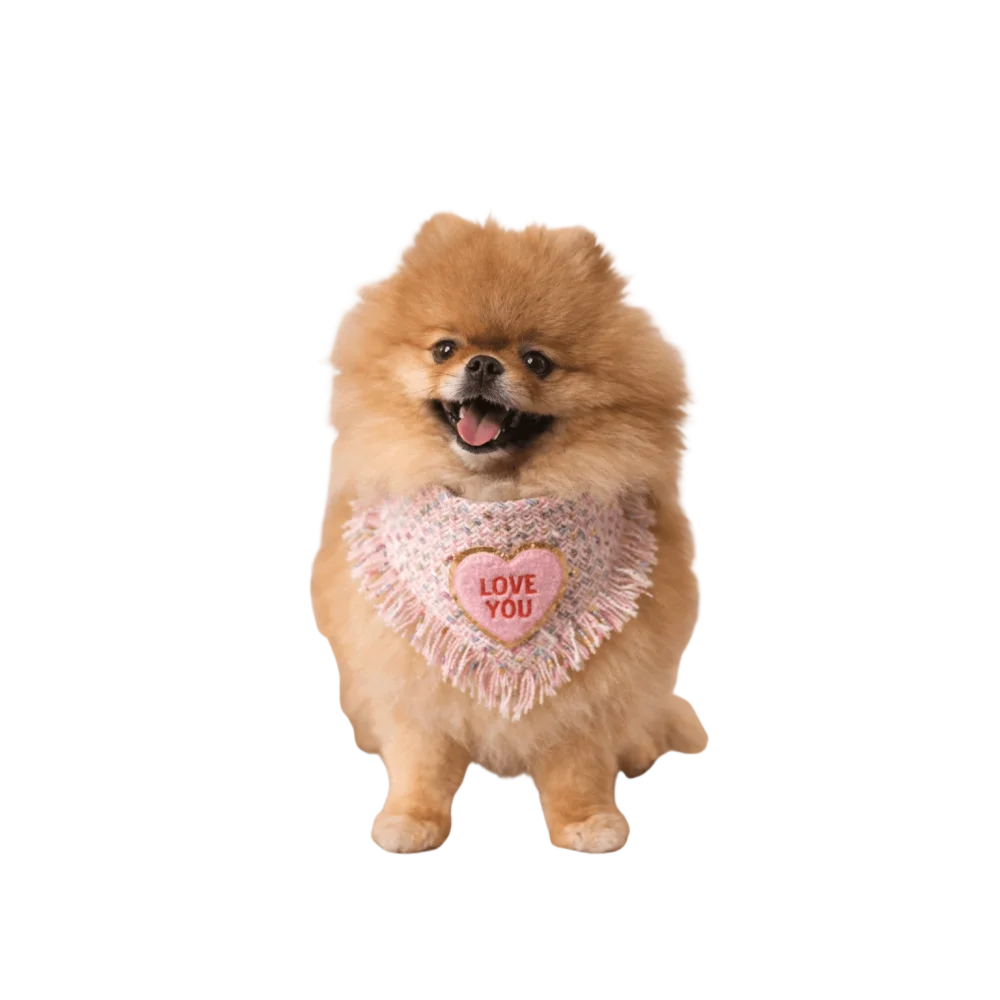 A fluffy tan pomeranian wearing a pastelowa chusta pink fringed heart bandana dla psa love coco embroidered love you
