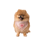 A fluffy tan pomeranian wearing a pastelowa chusta pink fringed heart bandana dla psa love coco embroidered love you