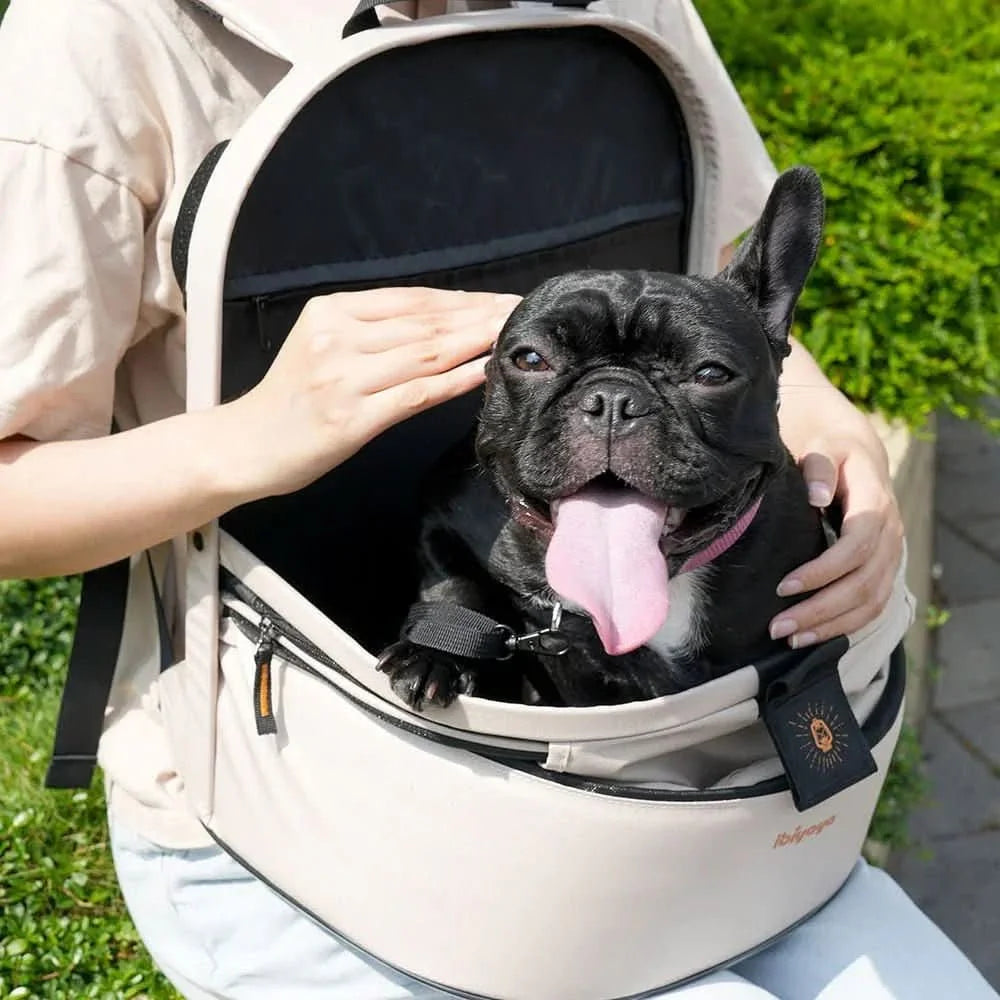 Beige plecak panorama buttermilk pet backpack with black trim sun logo tag and lekka aluminiowa rama frame