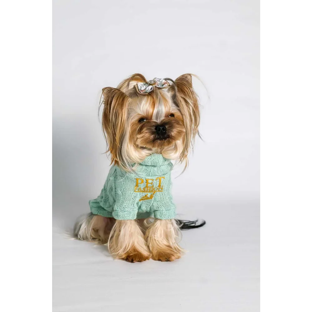 Light green knitted wool sweater with turtleneck and gold lettering for psa pet fashion etoile accessory