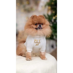 A fluffy tan pomeranian wearing a beige zestaw 2w1 dog harness and white knit sweater providing naturalne ciepło